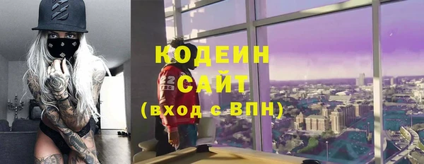 соль ск Ельня