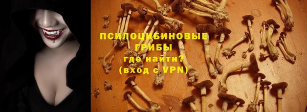 мяу мяу мука Алексеевка