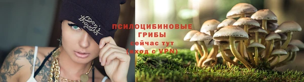 прущий лед Алексин