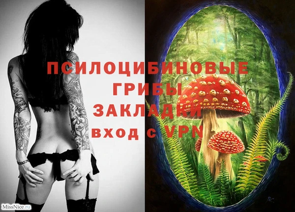 спиды Алзамай