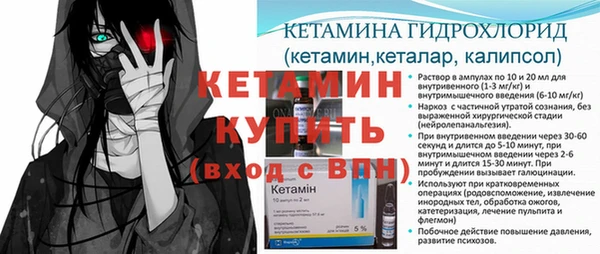 гидра Вязьма