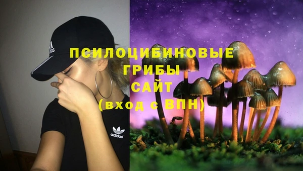 прущий лед Алексин