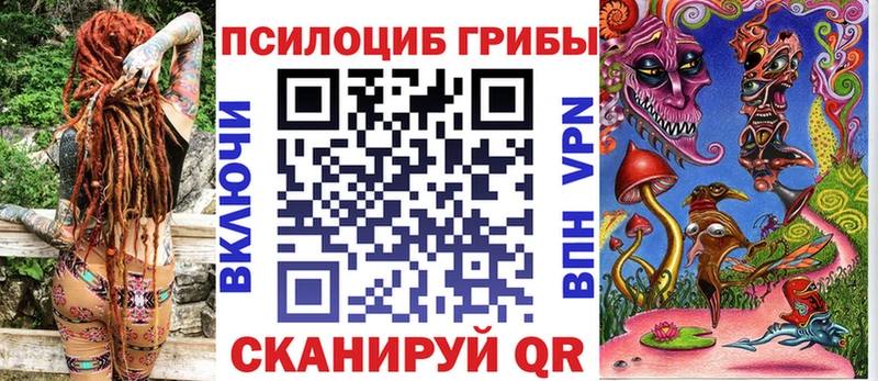 shop клад  Покров  Псилоцибиновые грибы Psilocybine cubensis  кракен вход 